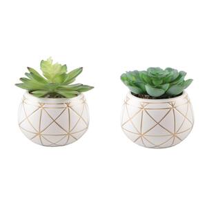 Set of 2 Succulent in 4 in. Artificial GEO Gold Round Ceramic Planter