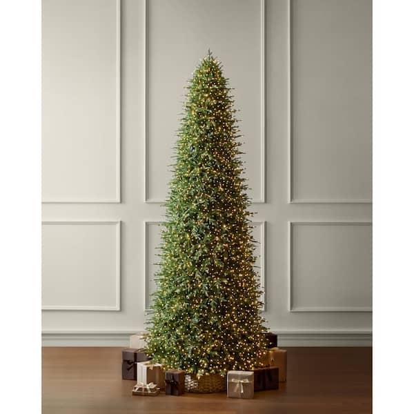 15 ft SMART Grand Duchess Twinkling Balsam Fir LED Pre-Lit Tree