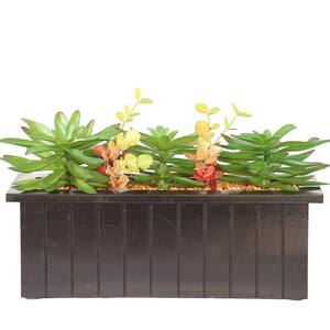 Artificial Faux Plastic 10 in. Tall Succulents In Wooden Pot
