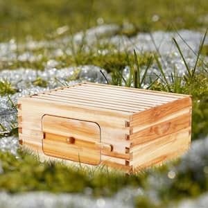 Bee Hive Deep Box Kit, 100% Beeswax Coated Cedar Wood, Langstroth Beehive with 10 Frames & Foundations, Transparent