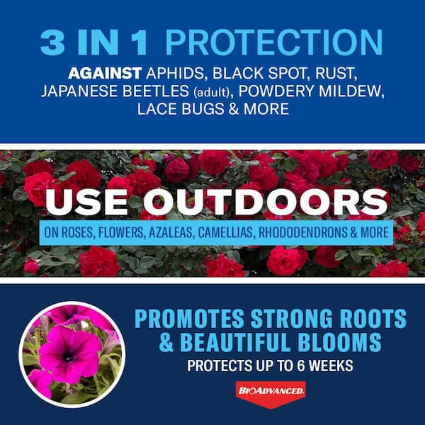 All-In-One 4 lbs. Granules Rose and Flower Care NN (2-Pack)