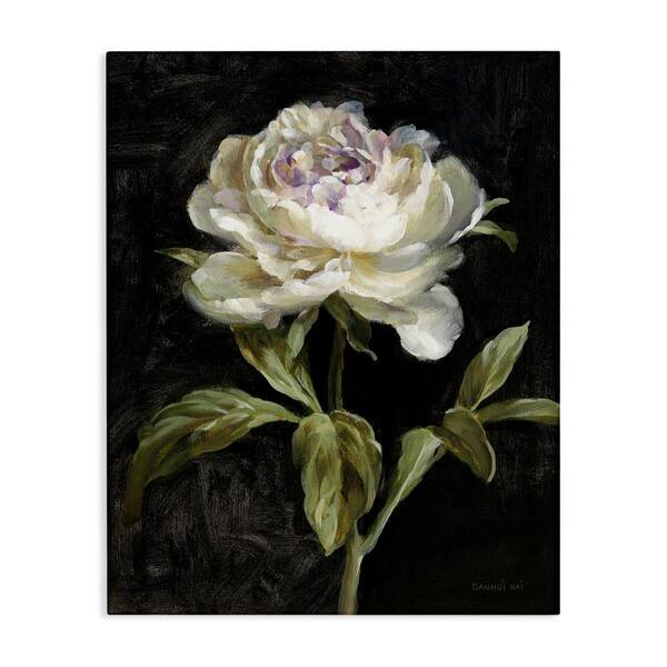 Stupell Industries Peony on Black by Danhui Nai Unframed Nature Graphic Art Print 30 in. x 24 in.