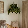 Nearly Natural 24in UV-Resistant Artificial Pothos Vine w/ LED Lights Hanging Basket