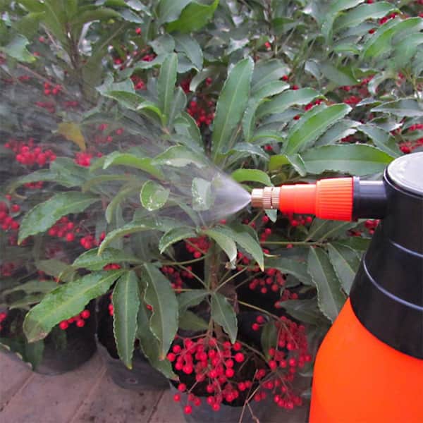 Dyiom 0.4 Gal. 1.5 l Water Mister and Spray Bottle for Plants
