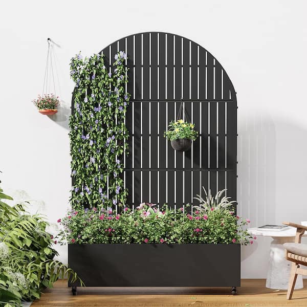 Lirago 72 in. H x 47 in. W Arch Black Outdoor Metal Privacy Screen Planter Box Wall Decor in Fence Pattern