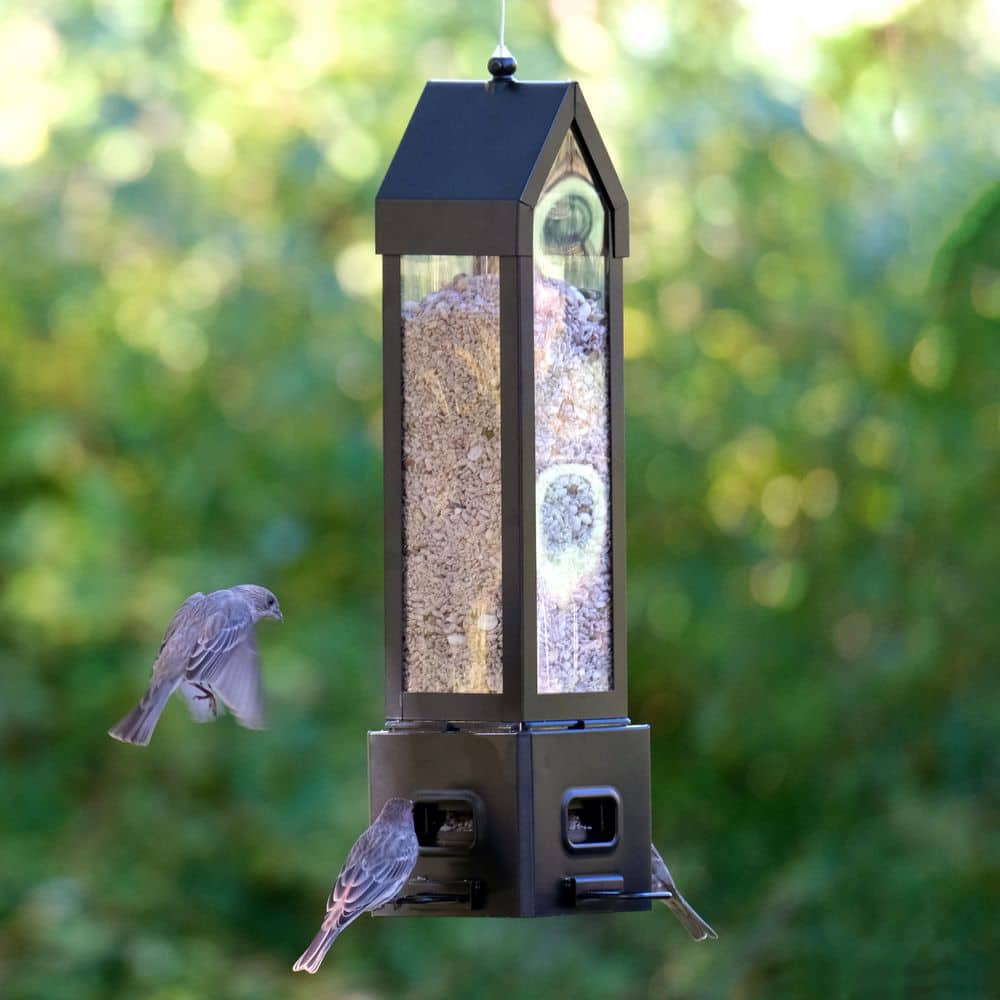 Black Metal and Plastic Squirrel Resistant Hanging Tube Feeder