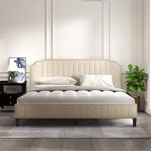 Nailhead Trimmed Ivory Bonded Leather Queen Size Platform Bed with Wooden Slats 
