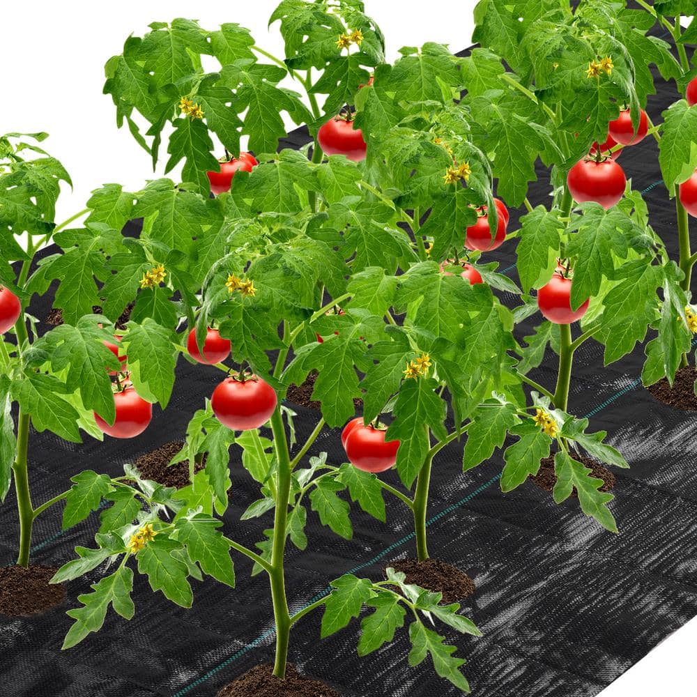 4 ft. x 6 ft. Easy-Plant Weed Block for Raised Bed Outdoor with 6 in. Dia, 