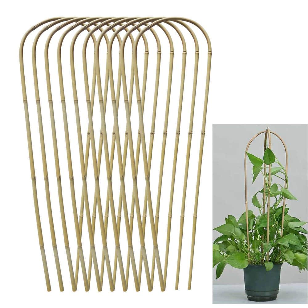 Wellco 2 ft. Natural U-Shaped Bamboo Trellis For Climbing Plants Indoor ...