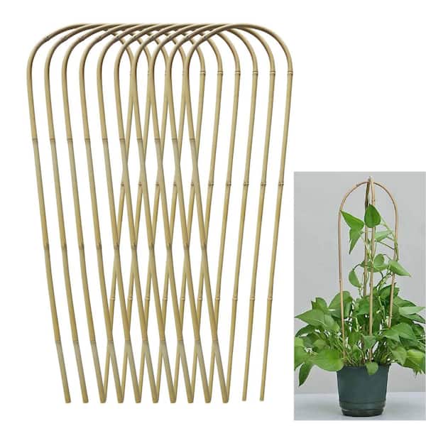 Wellco 2 ft. Natural U-Shaped Bamboo Trellis For Climbing Plants Indoor/Outdoor (10-Pack)