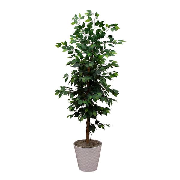 5.5 ft. Artificial Ficus Double Stalk Tree in Hexagon Metal Planter