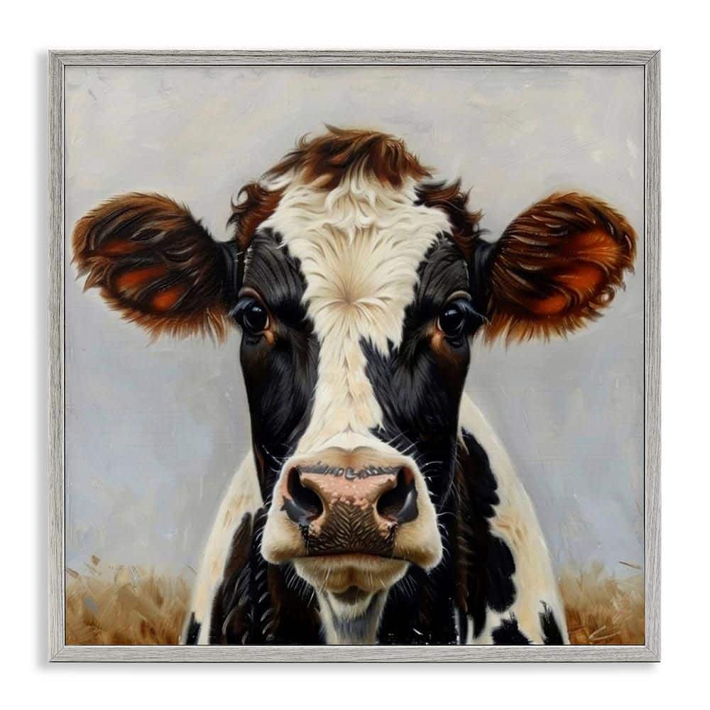 Stoic Cow Gaze Portrait by LSR Design Studio Gray Framed Animal Giclee Art Print 12 in. x 12 in. price history on PriceWatchPro