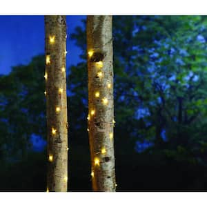 Outdoor/Indoor 16 ft. Battery Powered Micro LED Copper Wire Fairy String Light (12-Pack)