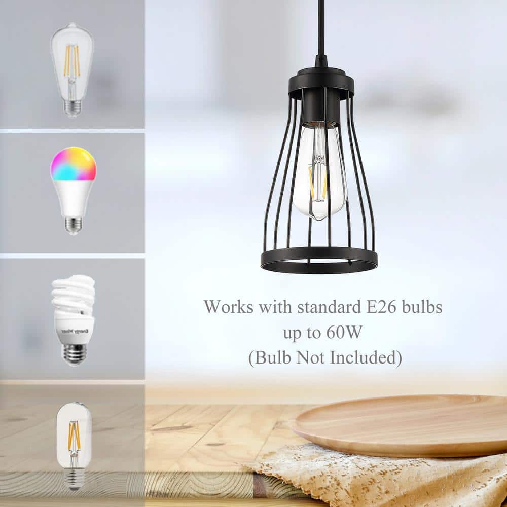 Matte Black Mini Cage Pendant Light with Glass Shade