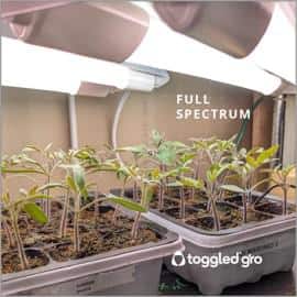 GF GROW LEDライト 4灯 本体　2台 GF GROW LEDライト 4灯 本体 2台 4本セット LED蛍光灯器具