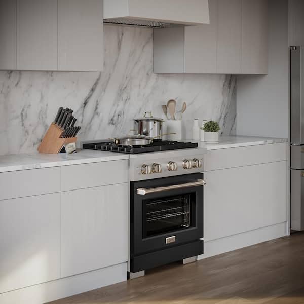 Paramount 30 in. 4-Burner Dual Fuel Range with Convection Oven in Stainless Steel and Matte Black Door