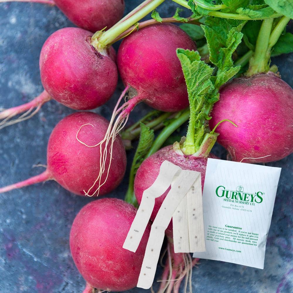 Gurney's 15 ft. Radish Cherry Belle (Seed Tape) 16644 The Home Depot