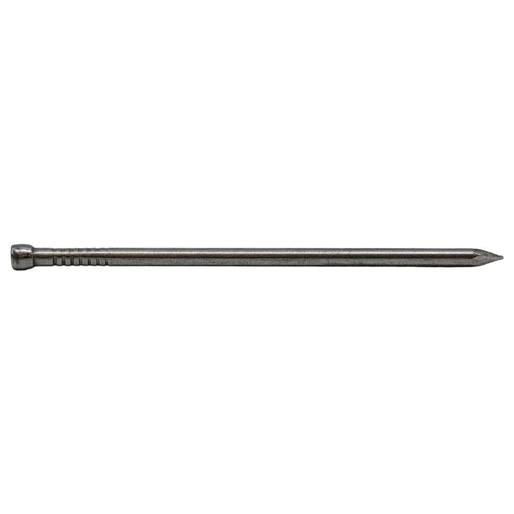 2-1/2 in. (8D) Brite Finish Nail 1 lb. (181-Count)