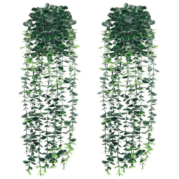 Unbranded 22.05 in. H Green Artificial Hanging Eucalyptus Plants, Faux  Hanging Vine Plants Wall Greenery (2-Pack) NYAF516
