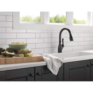 Leland Single-Handle Pull-Down Sprayer Kitchen Faucet with Touch2O Technology in Matte Black