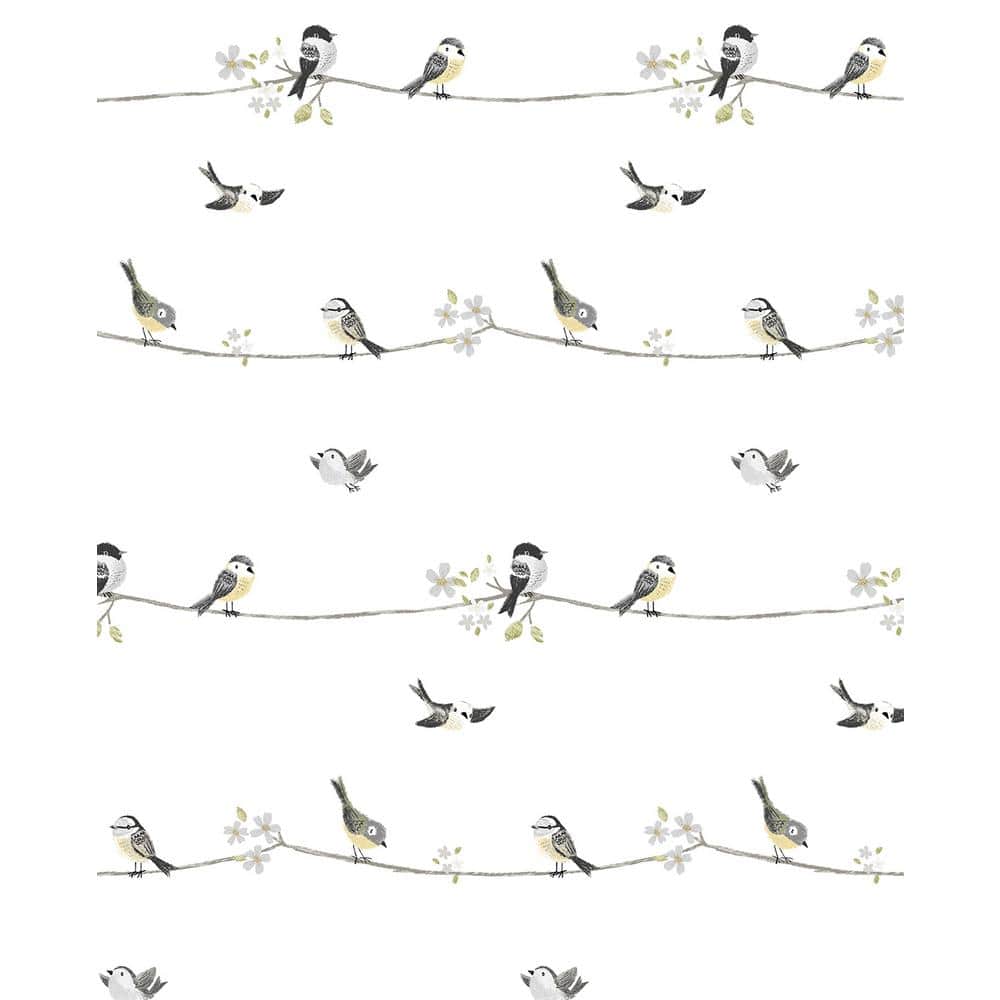 30.75 sq. ft. Charcoal and Buttercup Sweet Tweet Vinyl Peel and Stick Wallpaper Roll price history on PriceWatchPro