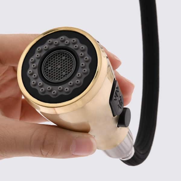 Single Handle Pull Down Sprayer Kitchen Faucet with Sprayer Stainless Steel Brushed Gold