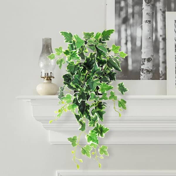 Artificial Green Vines Money Plant Leaves for Decoration Pack of 5 Each 7  feet