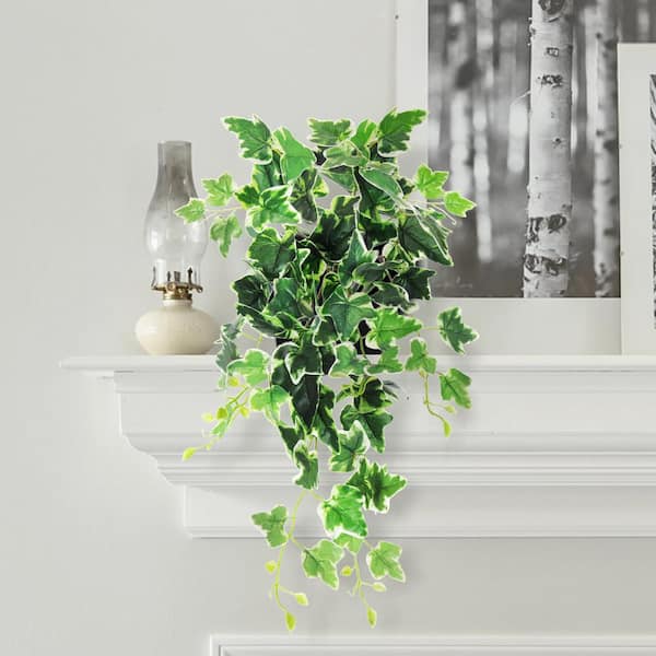 LIVING LUXURY 24 in. Artificial Variegated English Ivy Leaf Vine Hanging Plant Greenery Foliage Bush
