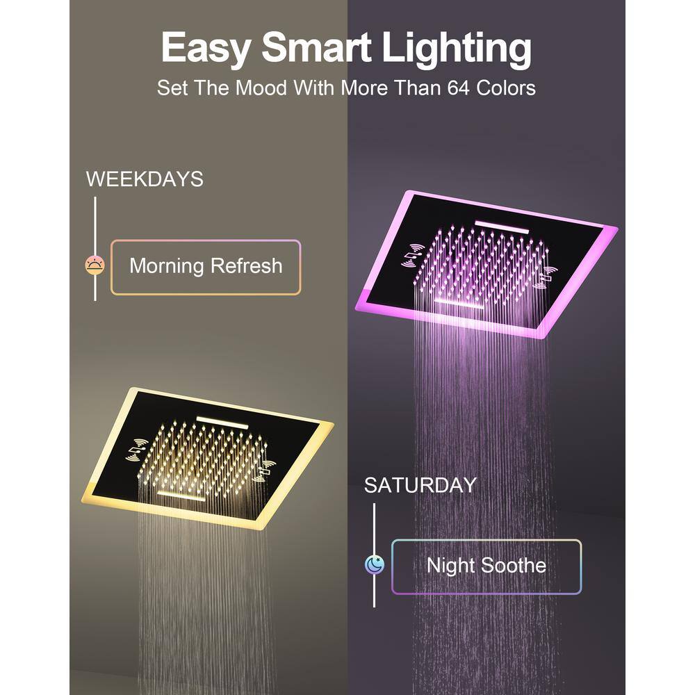 Matte Black 20" LED Ceiling Shower System with Bluetooth Speaker
