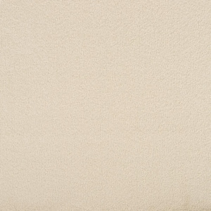 Hainsridge - Luxury - Beige 68 oz. Triexta Texture Installed Carpet