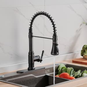 Single Handle Pull Down Sprayer Kitchen Faucet with Deck Plate and Swivel Spoutin in Oil Rubbed Bronze