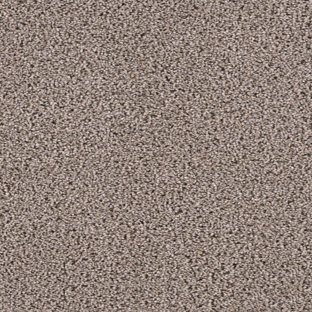 8 in. x  8 in. Texture Carpet Sample - Affectionate I -Color Smitten price history on PriceWatchPro