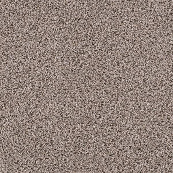 Home Decorators Collection 8 in. x  8 in. Texture Carpet Sample - Affectionate I -Color Smitten