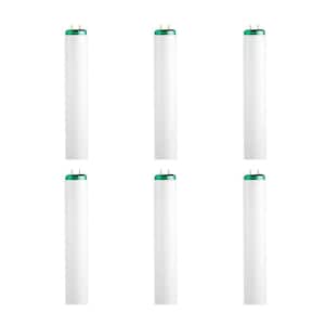 Philips 15-Watt 18 in. Linear T8 Fluorescent Tube Light Bulb Soft