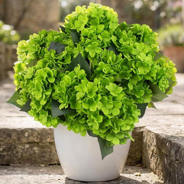 Unbranded 15.7 in. Green Indoor/Outdoor Artificial Hydrangea Flower Bundles  8-Pieces TG-D8AF17-G