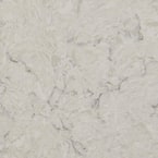 4 in. x 4 in. Quartz Countertop Sample in Carrara Mist