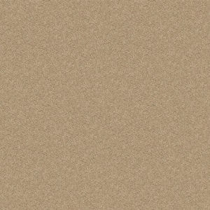 Alpine - Clarity - Beige 17.3 oz. Polyester Texture Installed Carpet