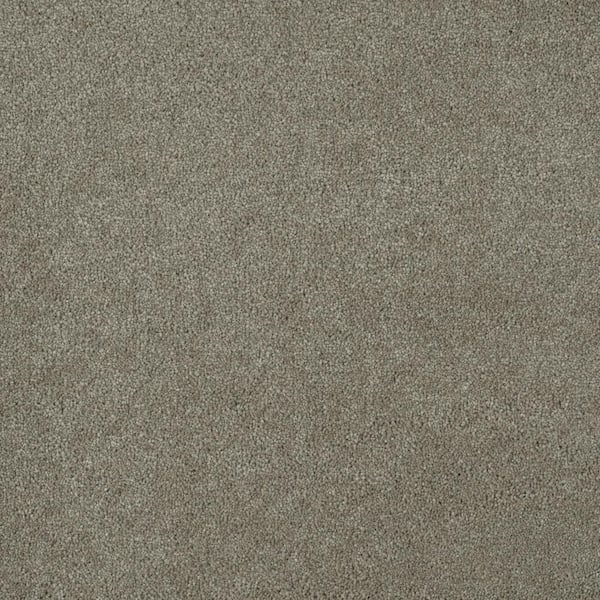 Home Decorators Collection Chastain I - Tamer - Brown 40 oz. SD Polyester Texture Installed Carpet