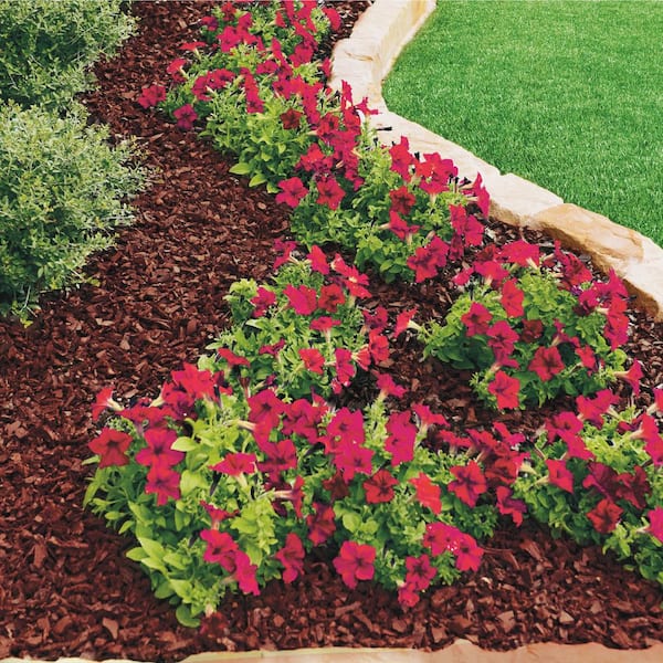 Image of Vigoro brown mulch in a landscaped bed