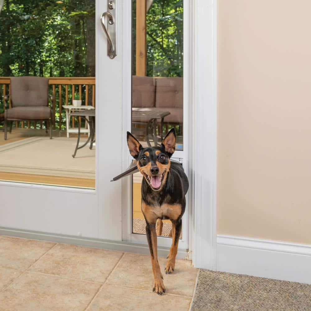 8 foot door with dog door best sale