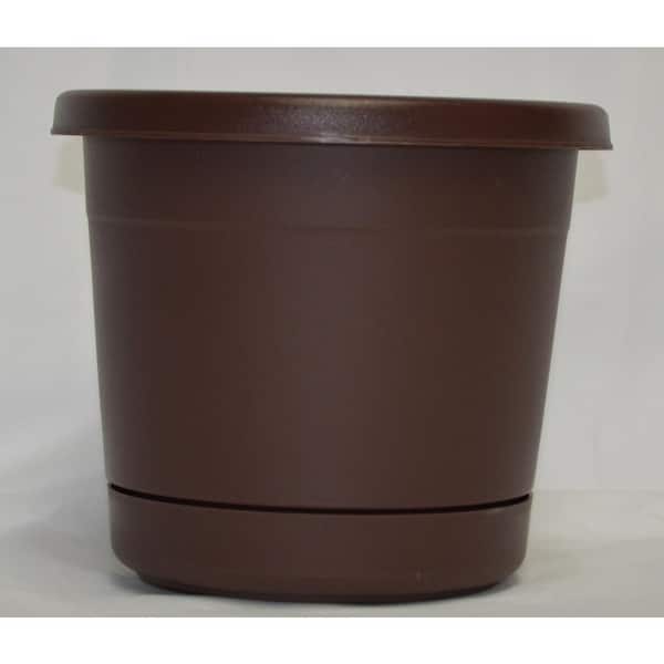 Unbranded 12 in. Rolled Rim Cocoa Plastic Planter