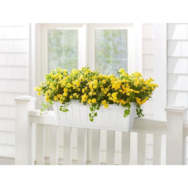 Eden Medium White Resin Lightweight Deck Rail Planter Box (28 in. L x 12 in. W x 12 in. H) 2 Pack