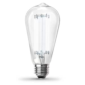 60-Watt Equivalent ST19 Dimmable Straight Filament Clear Glass Vintage Edison LED Light Bulb, Daylight