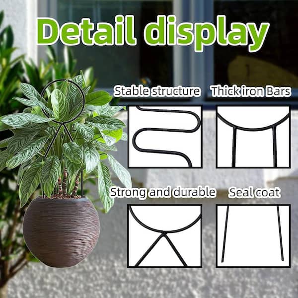 fertilizer for money tree Gardenera Plant Growth Superfood for MONEY Trees with 18 Vitamins & Minerals - Organic Plant Food Fertilizer