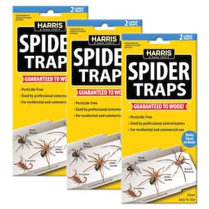 Bug Shield Sticky Glue Traps 72 Glue Boards, All Types of Incets, Spiders,  Cockroaches, Ants, Cave Crickets, and More. Professional Strength Glue.