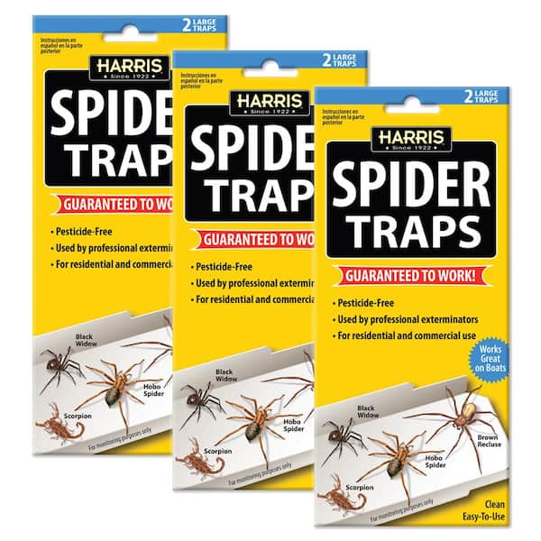 Harris Spider Glue Traps (6-Pack)
