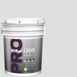 5 gal. #720E-1 Reflecting Pool Eggshell Interior Paint