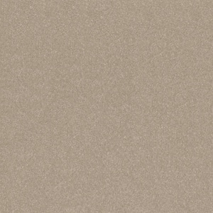 Blakely II - Chai-Beige 12 ft. 52 oz. High Performance Polyester Texture Installed Carpet