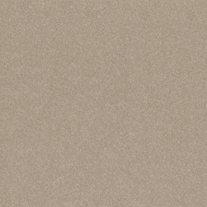 Blakely III - Chai-Beige 12 ft. 66 oz. High Performance Polyester Texture Installed Carpet