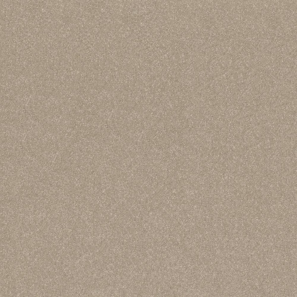 Home Decorators Collection House Party I - Sandy Beach - Beige 37.4 oz. Polyester Texture Installed Carpet